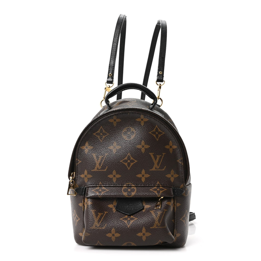 Louis Vuitton Monogram Palm Springs Backpack Mini