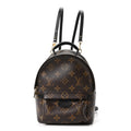 Louis Vuitton Monogram Palm Springs Backpack Mini