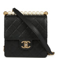 Chanel Chic Pearls Flap Bag Black Calfskin Brushed Gold Hardware