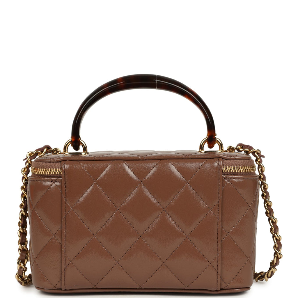 Chanel Small Tortoiseshell Top Handle Vanity Case Brown Shiny Lambskin Light Gold Hardware