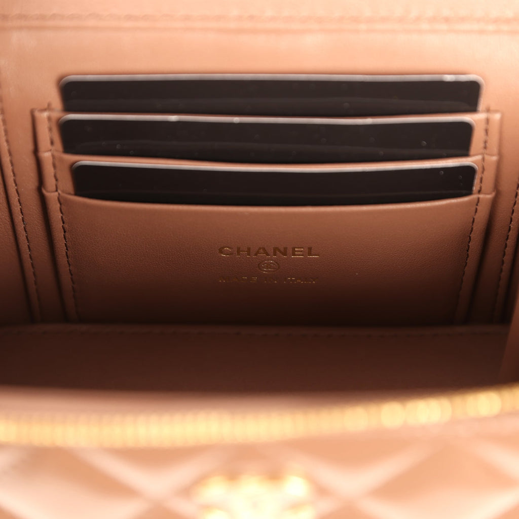 Chanel Small Tortoiseshell Top Handle Vanity Case Brown Shiny Lambskin Light Gold Hardware