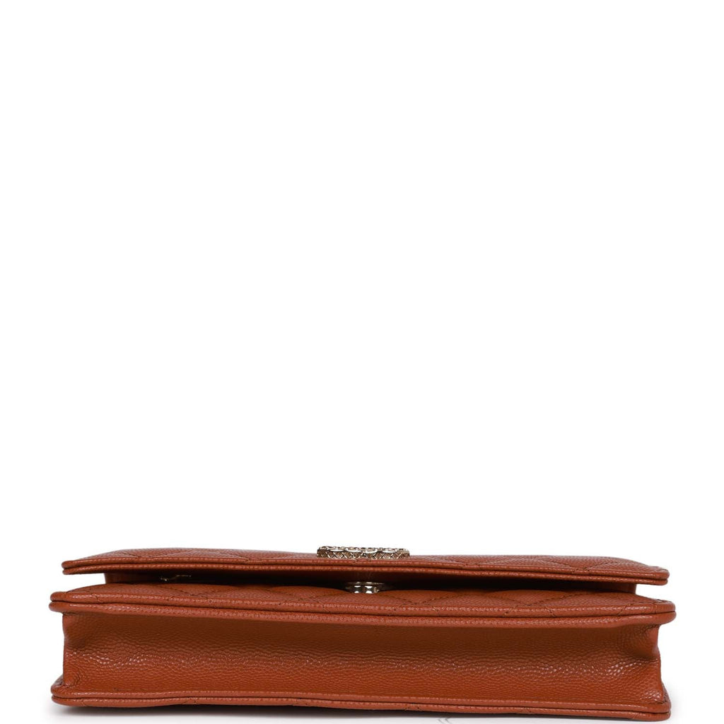Chanel Wallet on Chain WOC Brown Caviar Gold Hardware