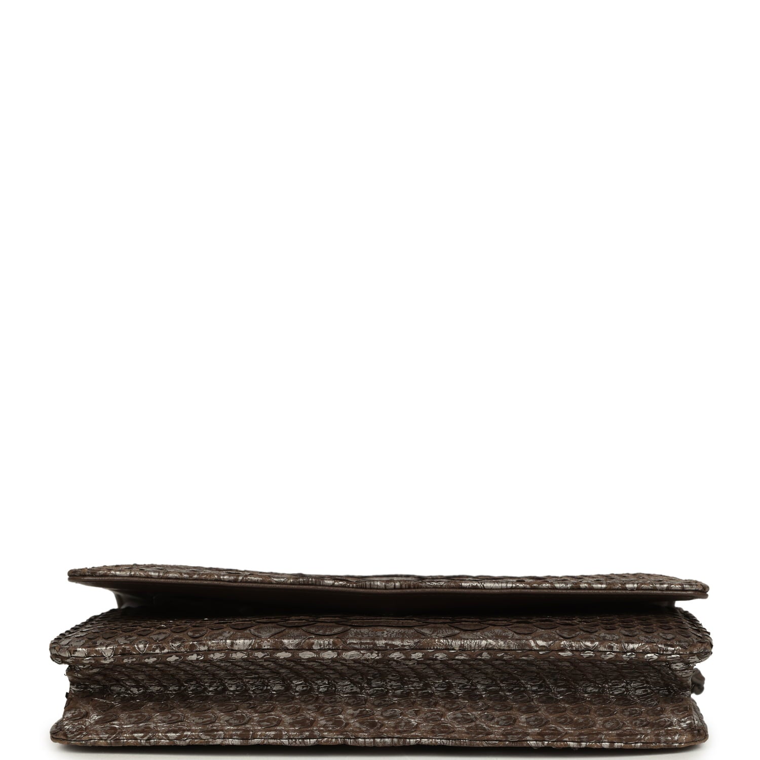 Chanel Wallet On Chain WOC Silver and Brown Aged Python Antique Silver Hardware