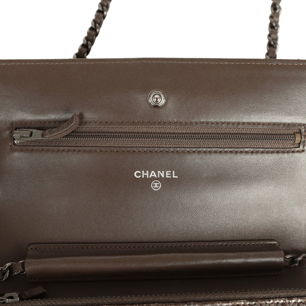 Chanel Wallet On Chain WOC Silver and Brown Aged Python Antique Silver Hardware