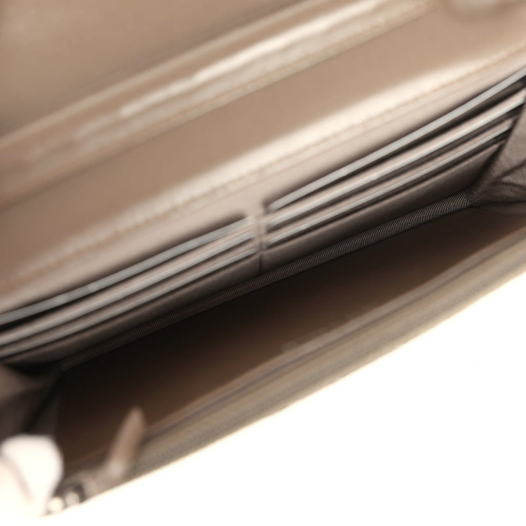 Chanel Wallet On Chain WOC Silver and Brown Aged Python Antique Silver Hardware