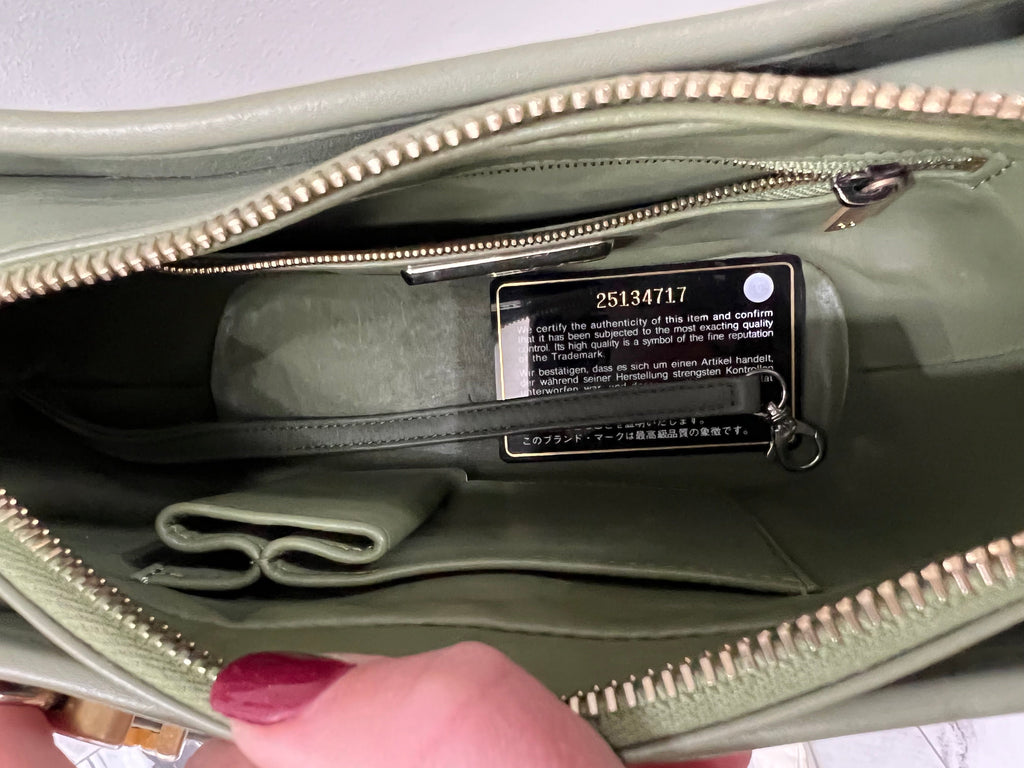 CHANEL CC PYTHON GABRIELLE HOBO BAG