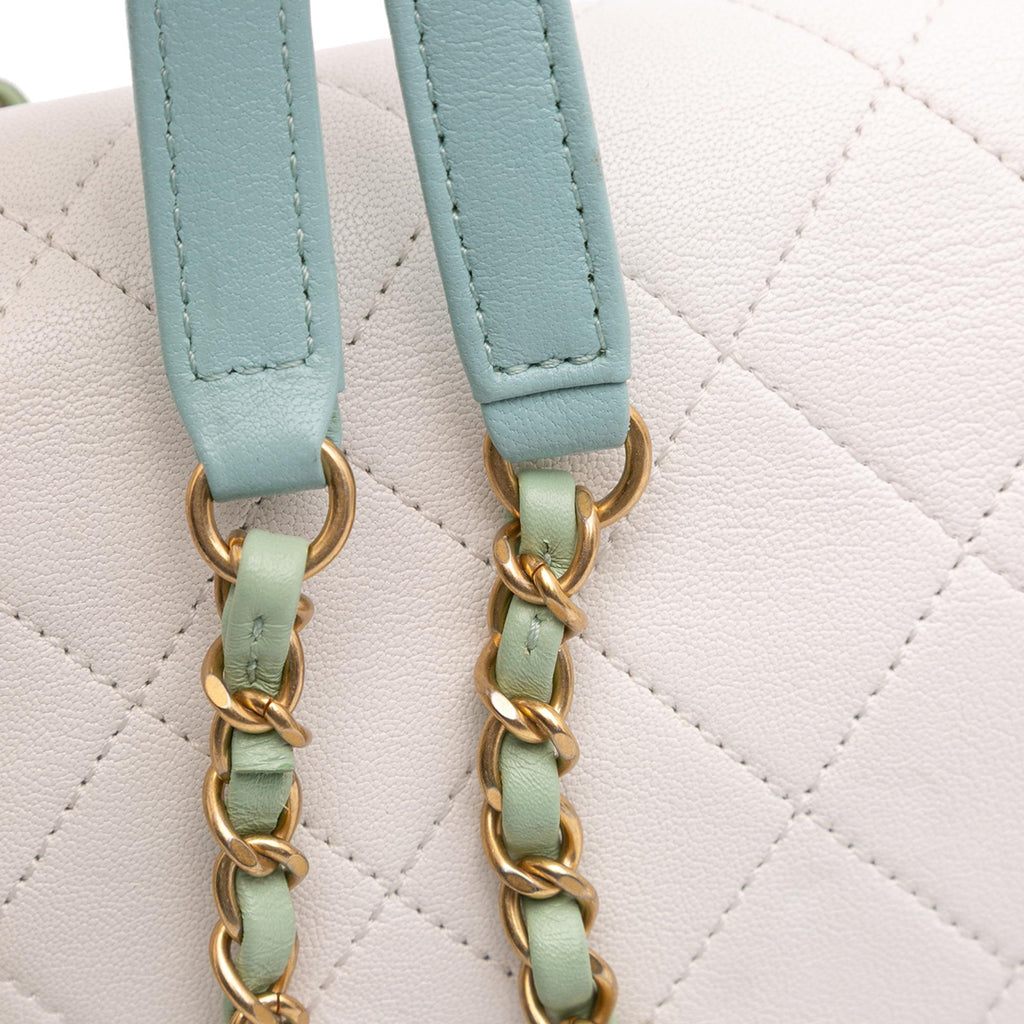 Chanel CC Quilted Calfskin Single Flap