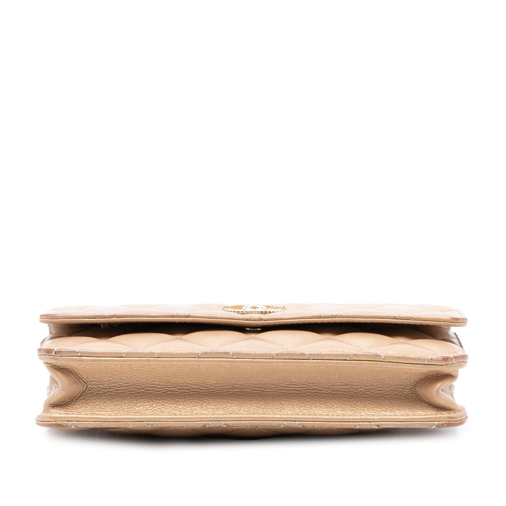 Chanel CC Quilted Iridescent Lambskin Coin Charm Wallet on Chain