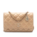 Chanel CC Quilted Iridescent Lambskin Coin Charm Wallet on Chain