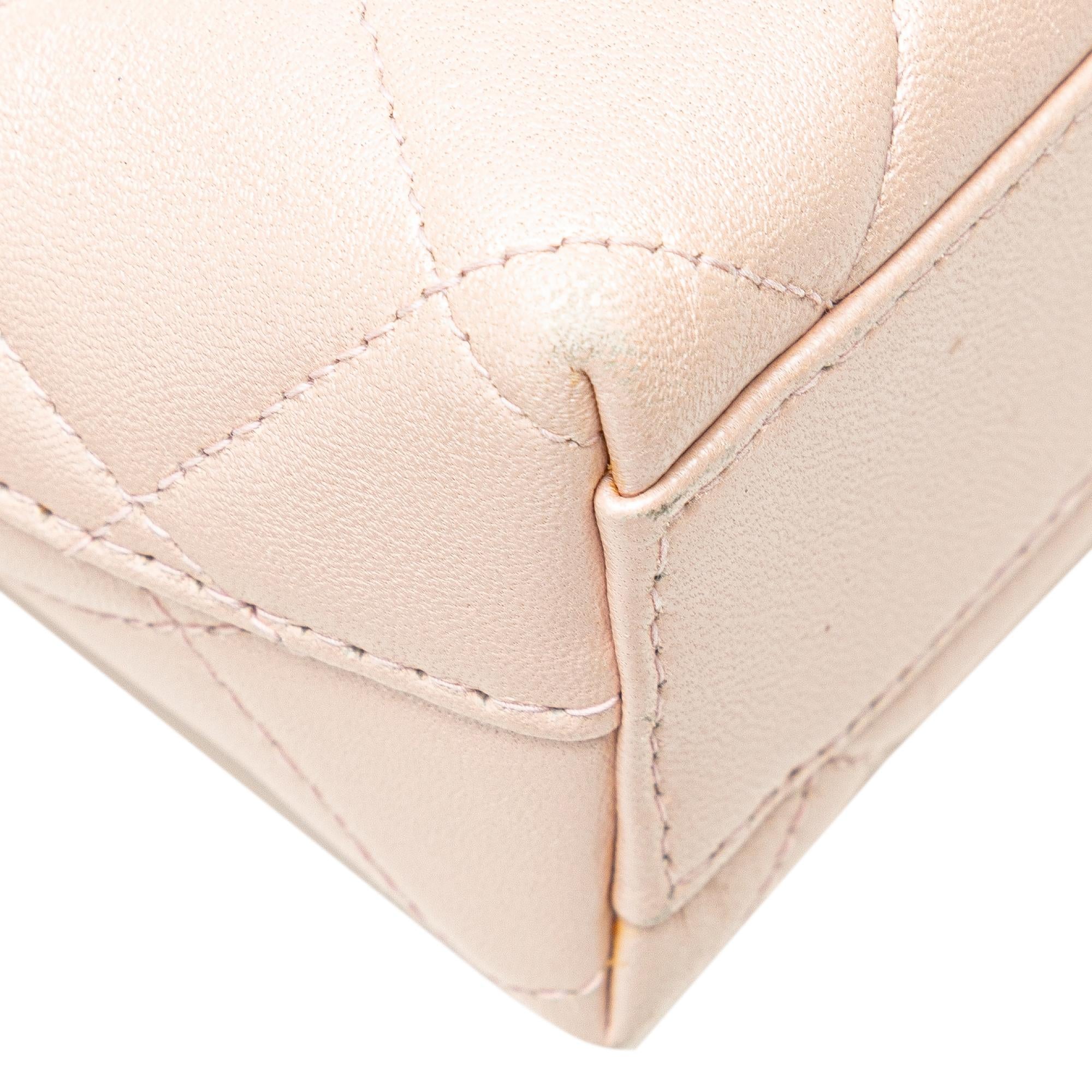 Chanel CC Quilted Irisdescent Lambskin Chain Handbag