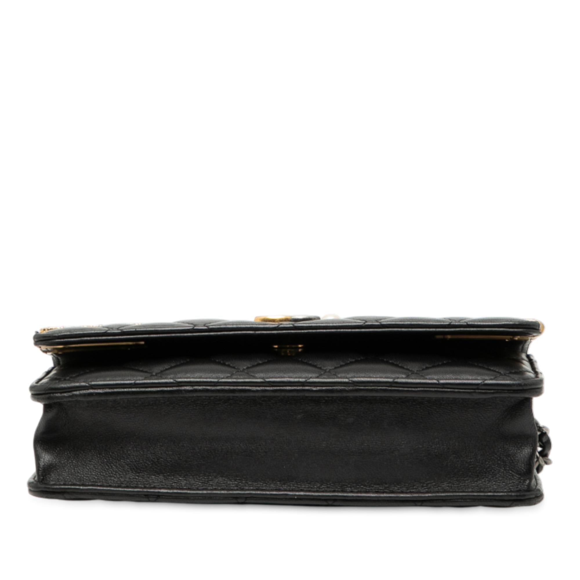 Chanel CC Quilted Lambskin Coco Clips Wallet on Chain
