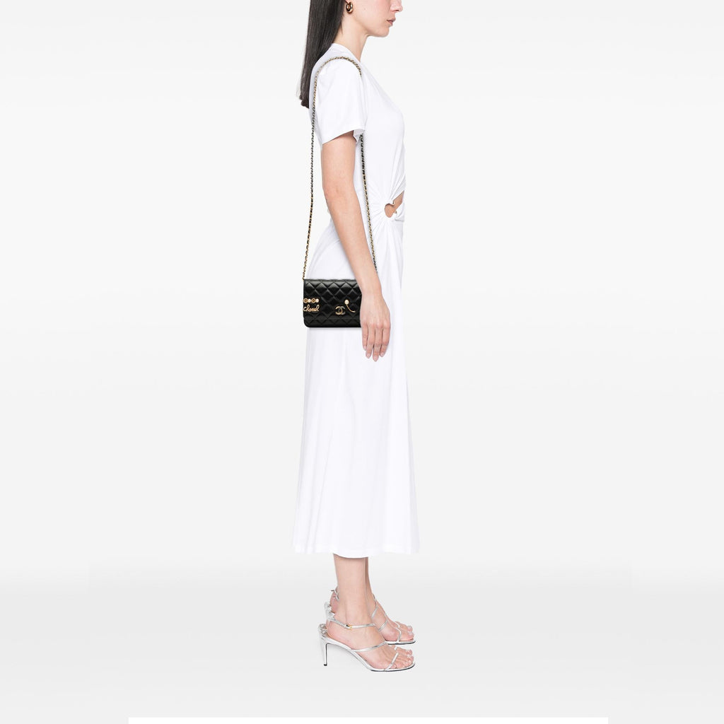 Chanel CC Quilted Lambskin Coco Clips Wallet on Chain