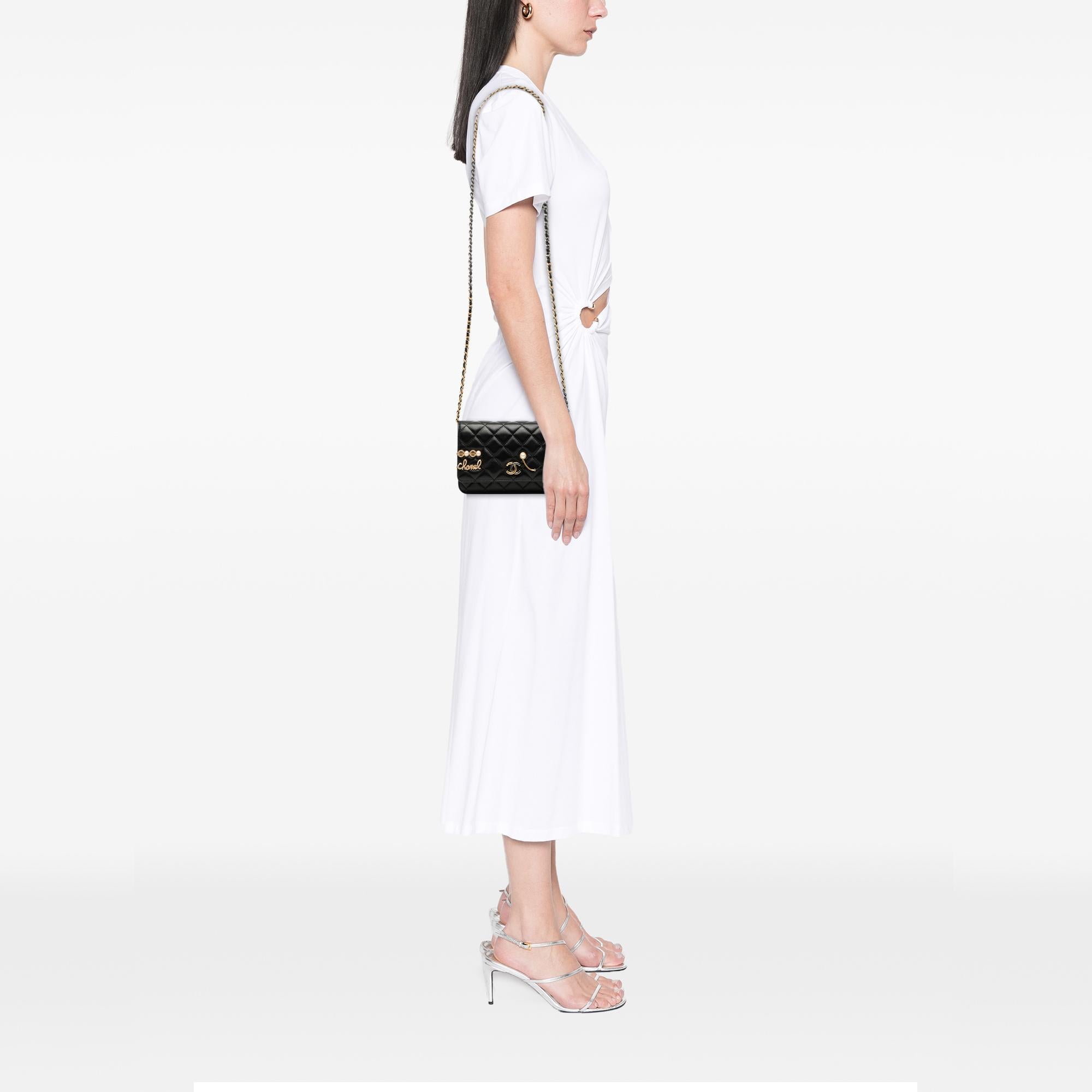 Chanel CC Quilted Lambskin Coco Clips Wallet on Chain
