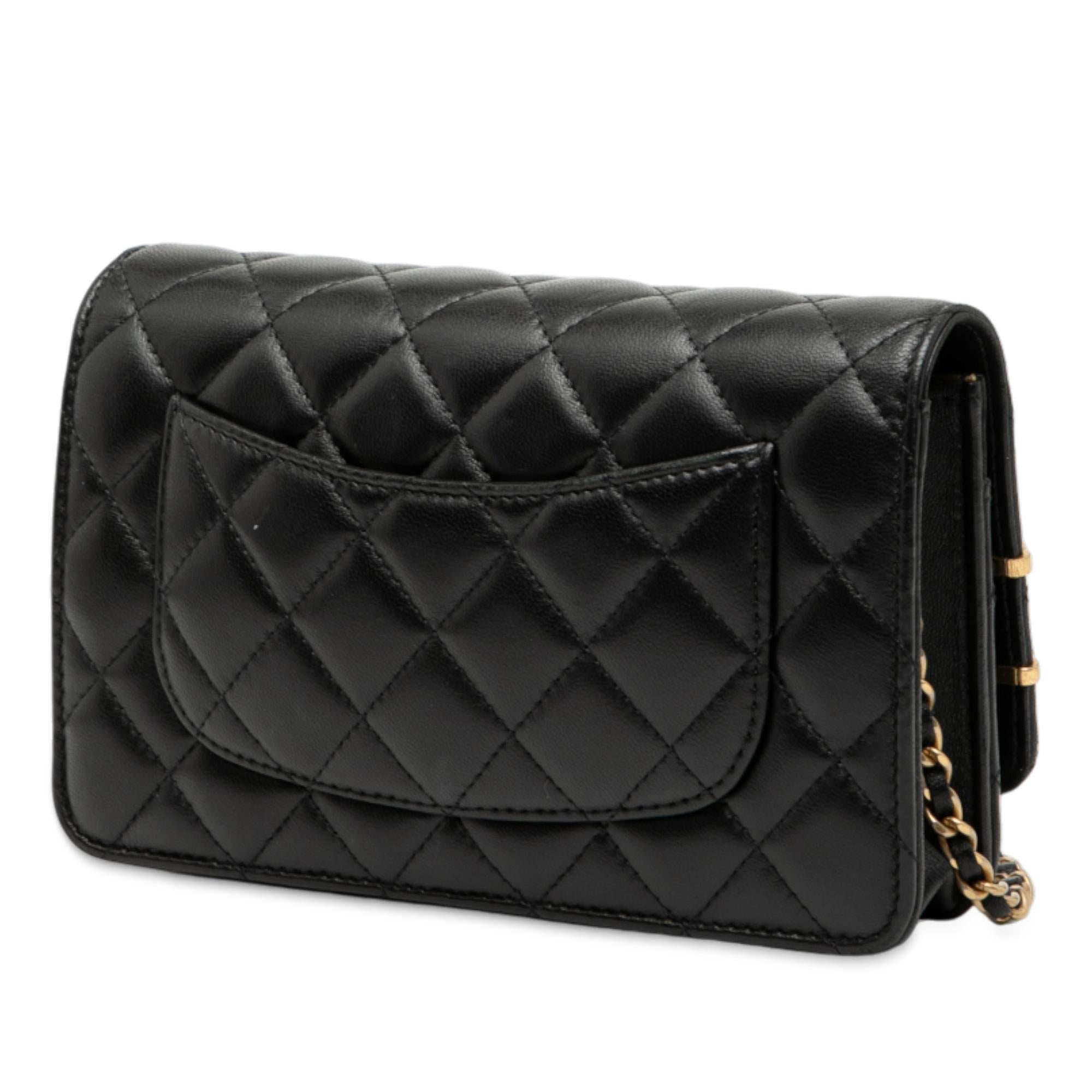 Chanel CC Quilted Lambskin Coco Clips Wallet on Chain