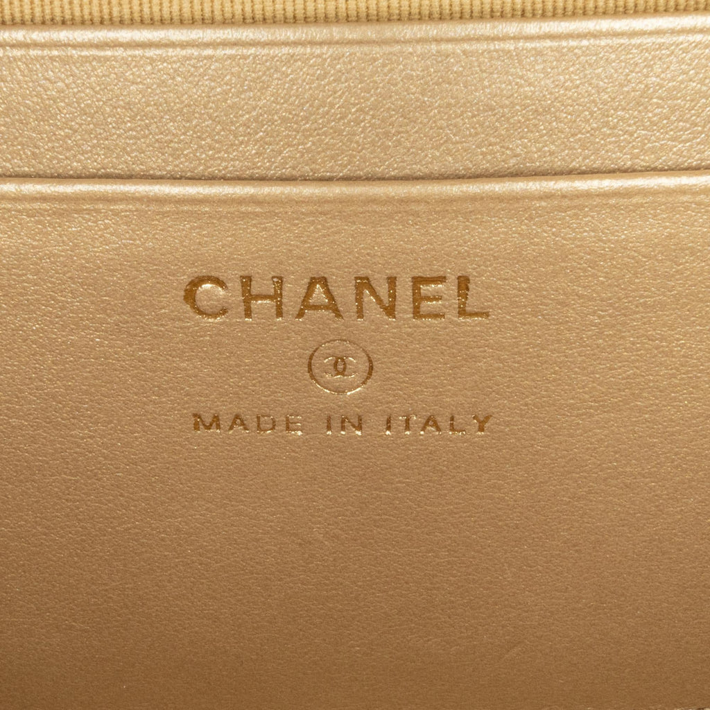 Chanel CC Quilted Lambskin Pearl Crush Camera Bag (SHG-CAgK7A)