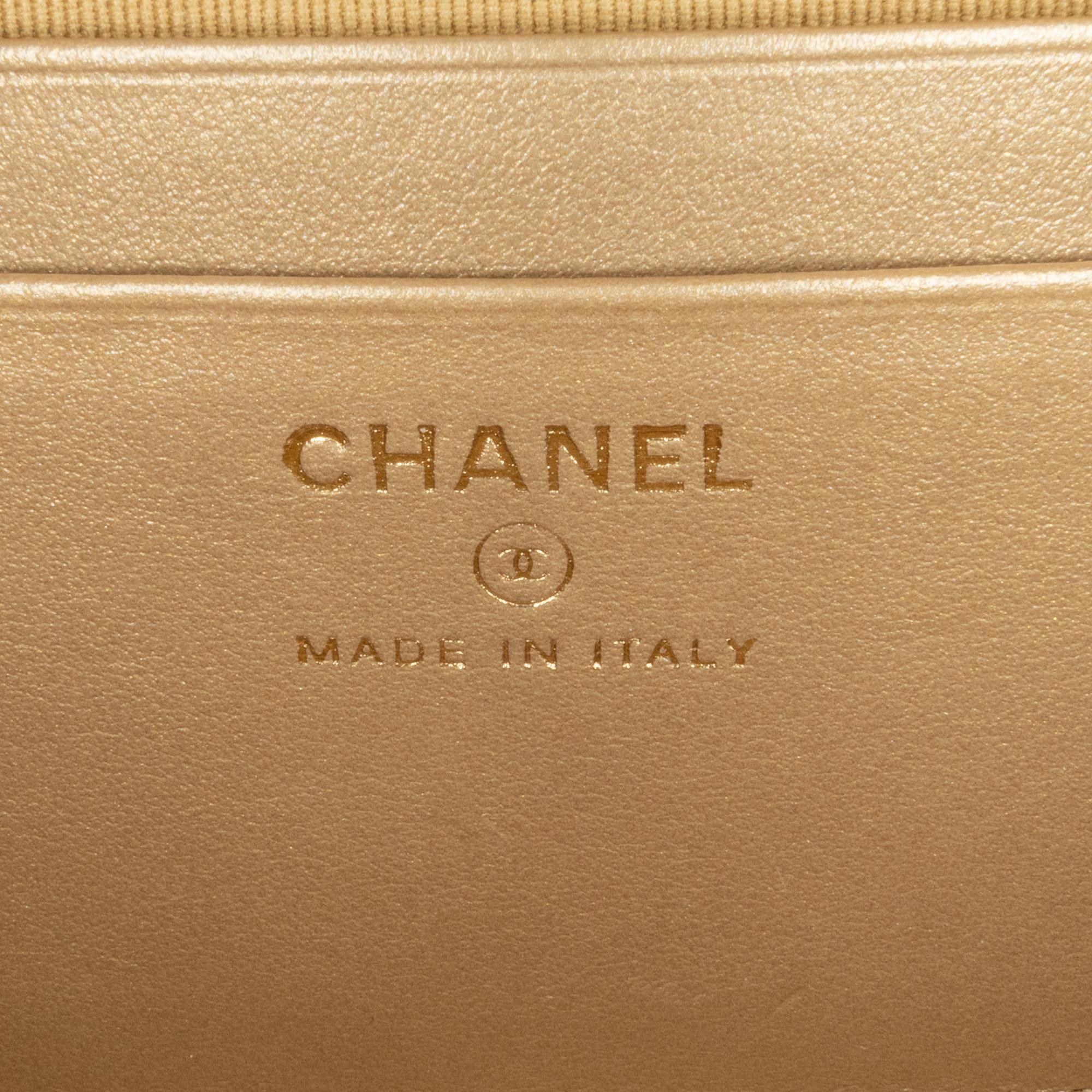 Chanel CC Quilted Lambskin Pearl Crush Camera Bag