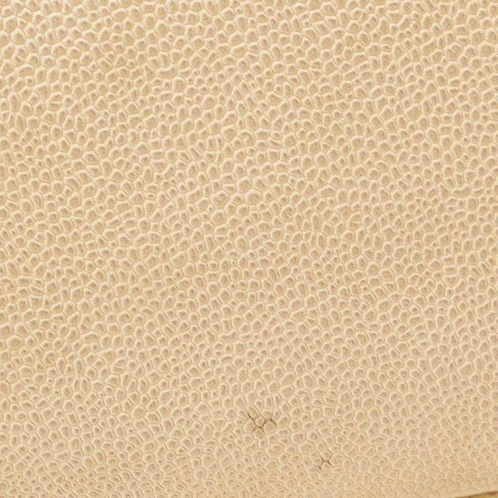 Chanel Caviar Medallion Tote (SHG-tHvBQP)