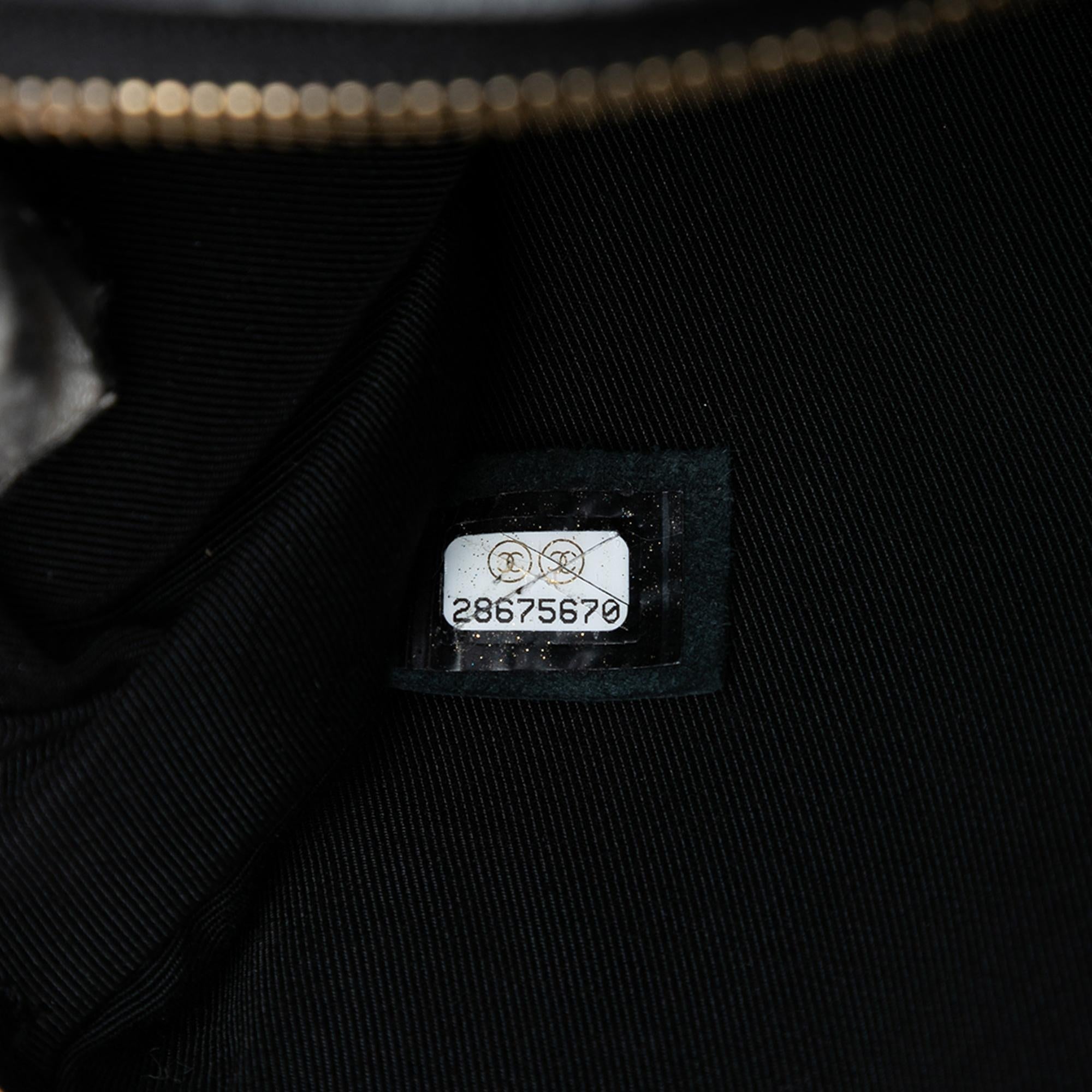 Chanel Chevron Lambskin Pleated Oval Camera Bag