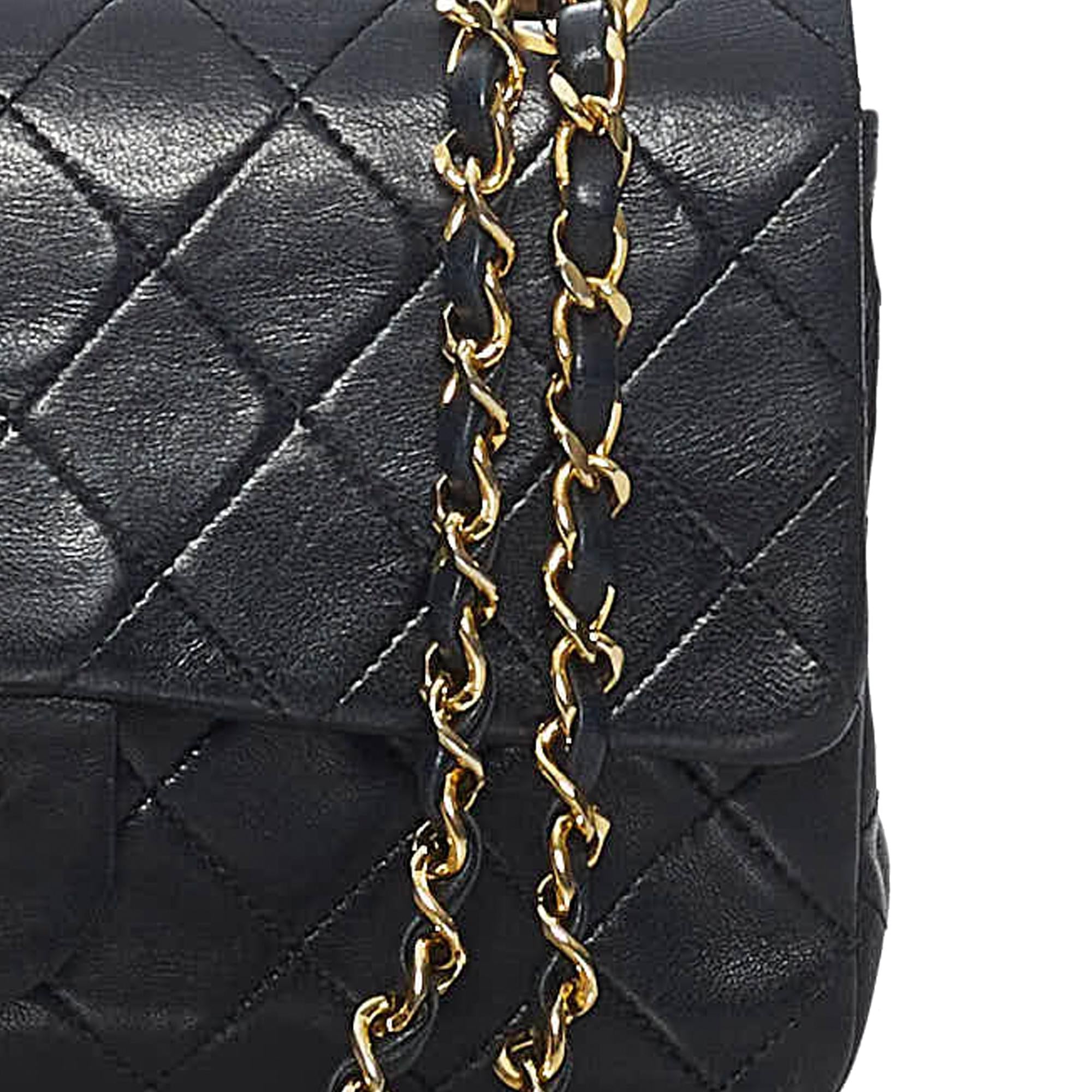 Chanel Classic Lambskin Leather Double Flap Bag (SHG-31300)
