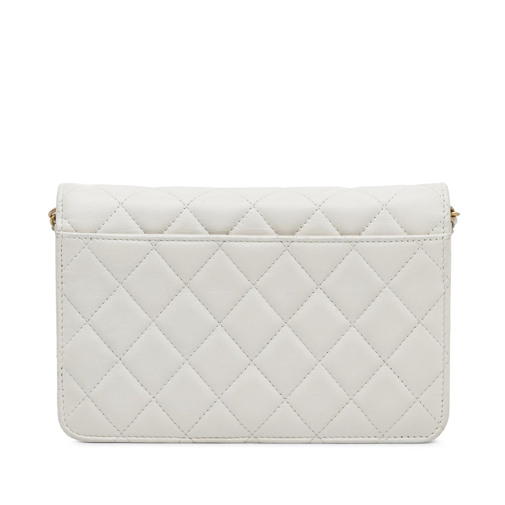Chanel Enchained Flap Wallet on Chain