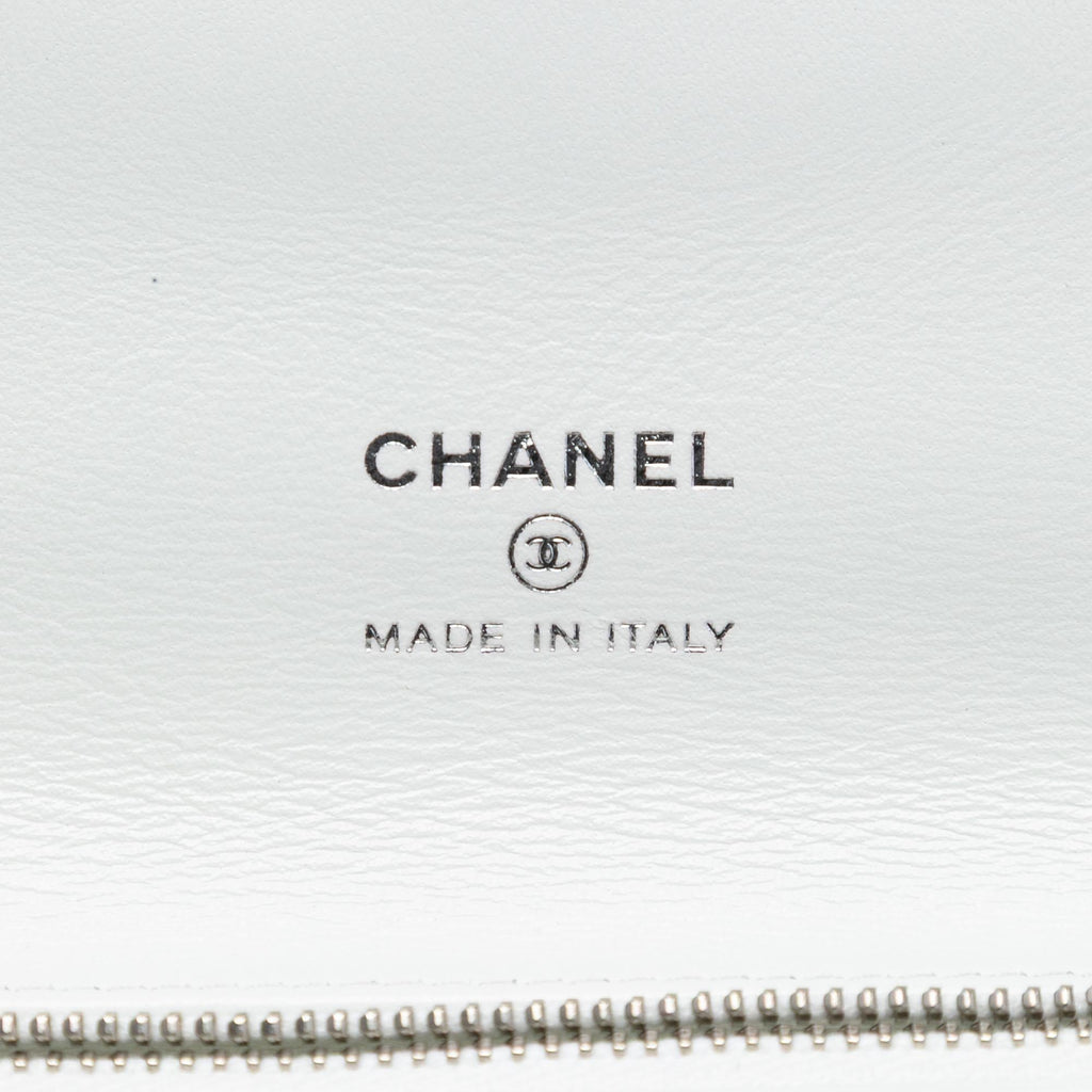 Chanel Iridescent Aged Calfskin 31 Clutch