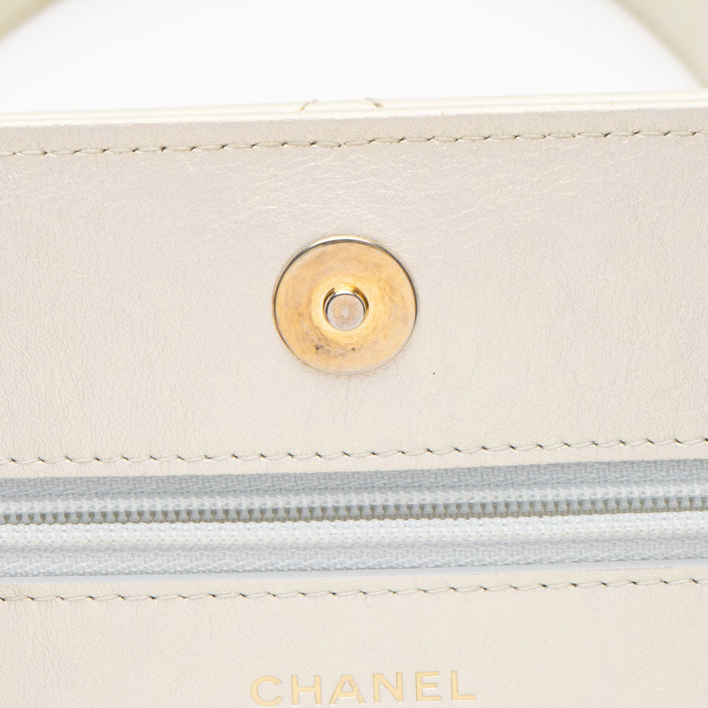 Chanel Iridescent Lambskin 19 Wallet on Chain (SHF-Q3iEEa)