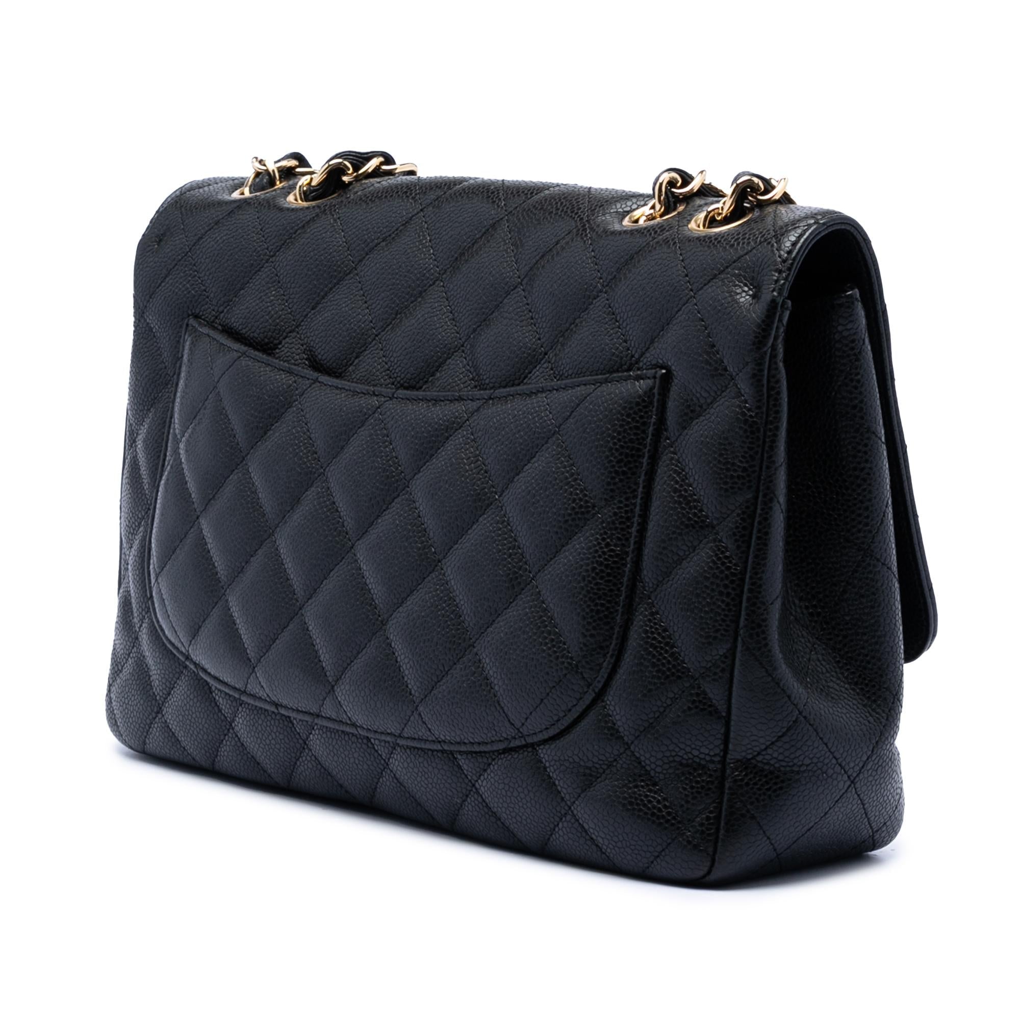 Chanel Jumbo Classic Caviar Single Flap