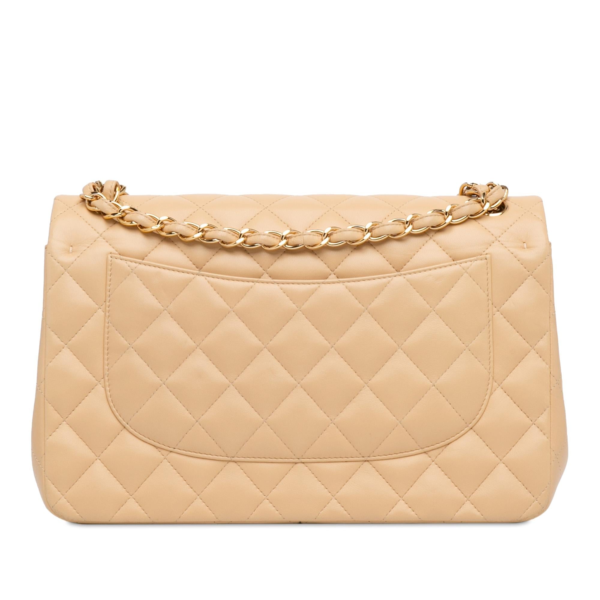 Chanel Jumbo Classic Lambskin Double Flap (SHG-evy6Et)