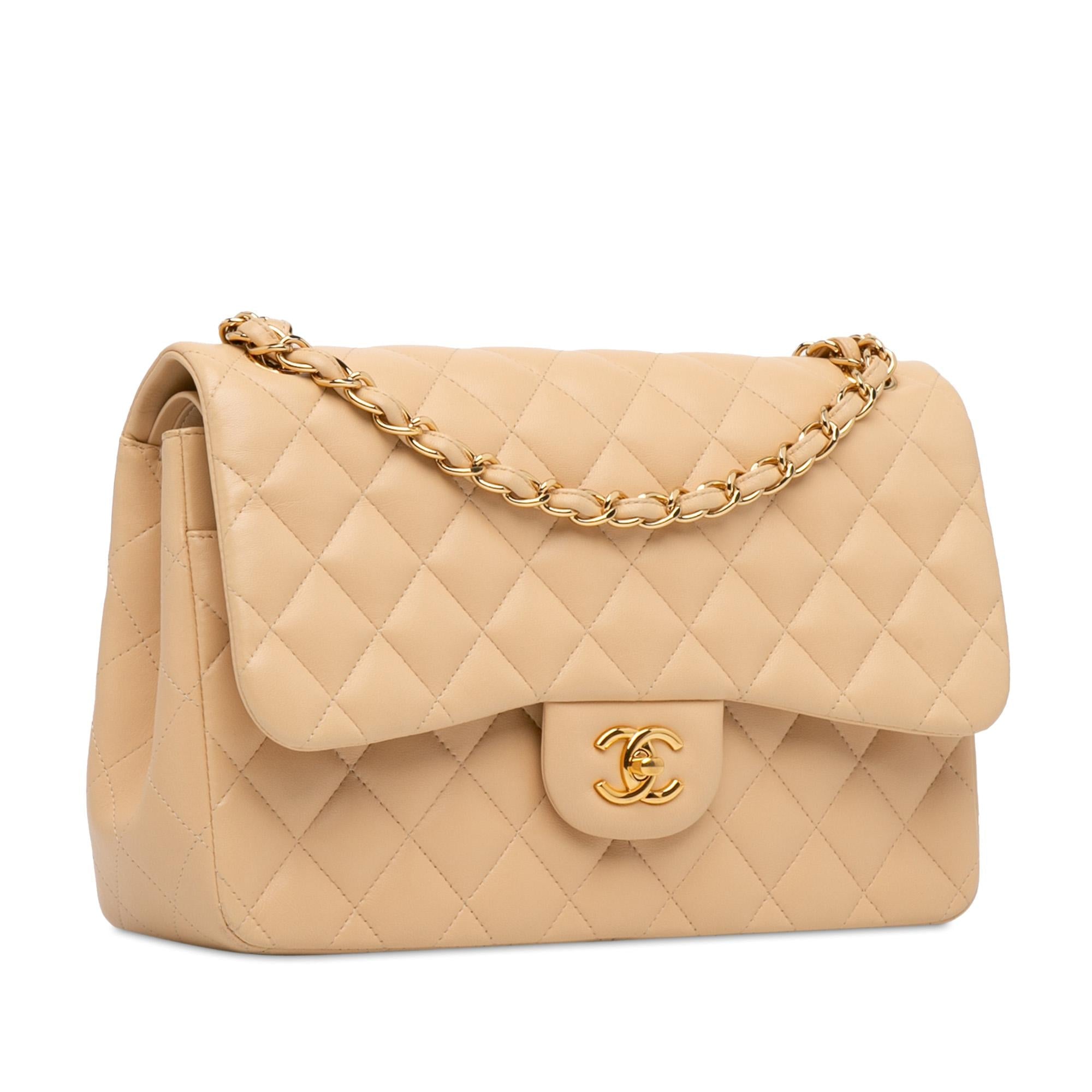Chanel Jumbo Classic Lambskin Double Flap (SHG-evy6Et)