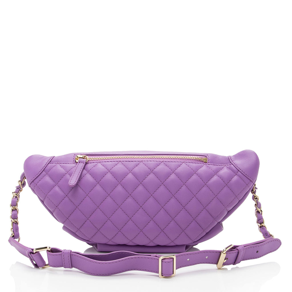 Chanel Lambskin Bi Classic Waist Bag