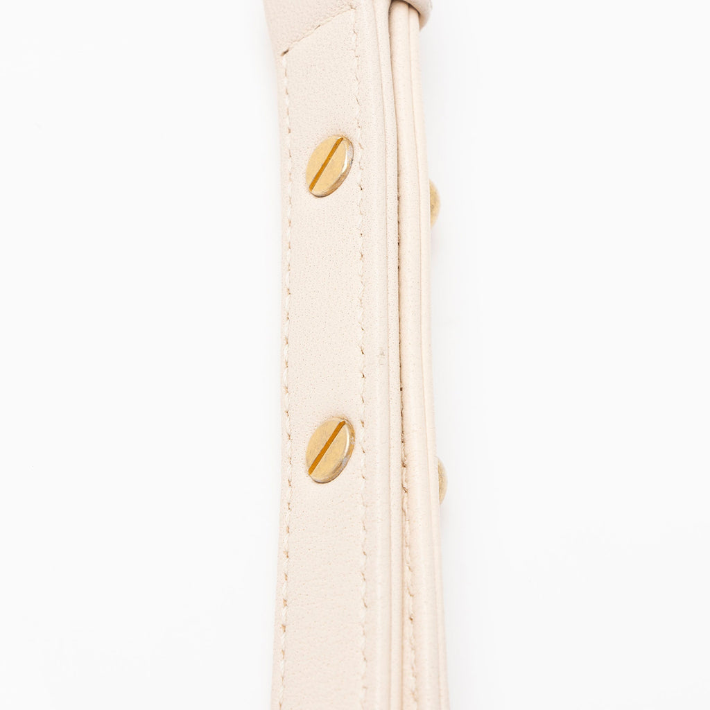 Chanel Lambskin Coco Lux Medium Flap Bag (SHF-mhN1qb)