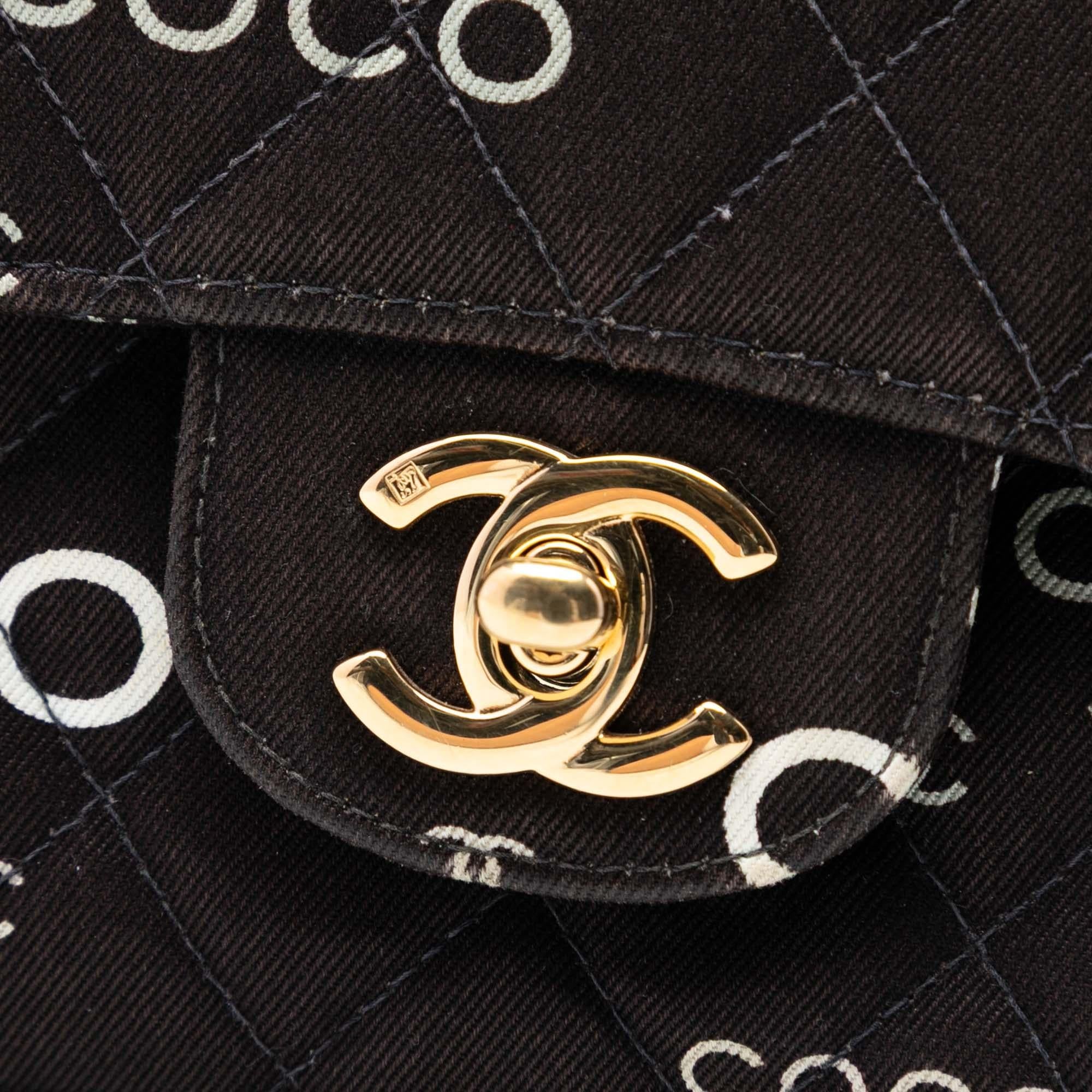 Chanel Medium Classic Canvas Coco Print Double Flap