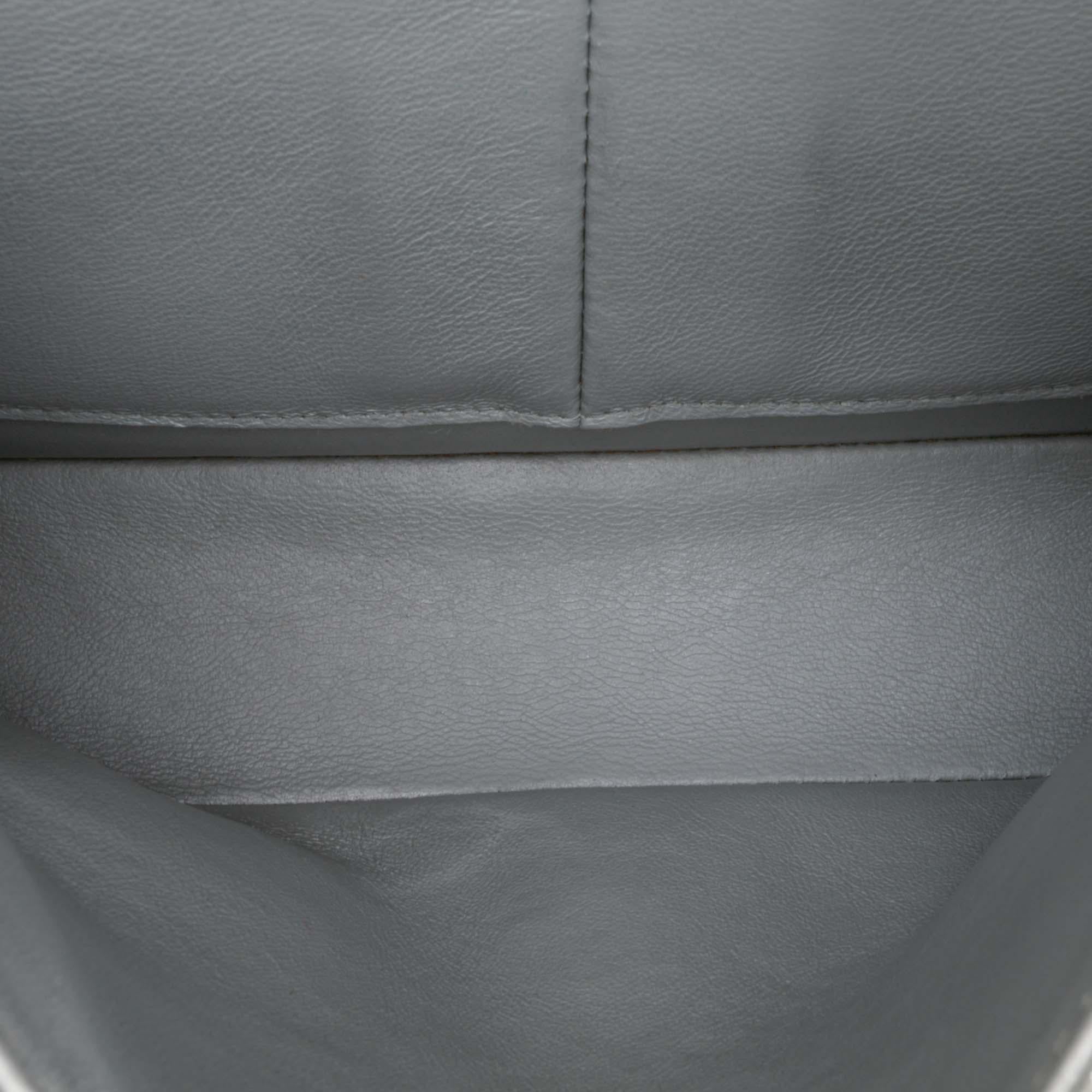 Chanel Medium Classic Iridescent Lambskin Double Flap