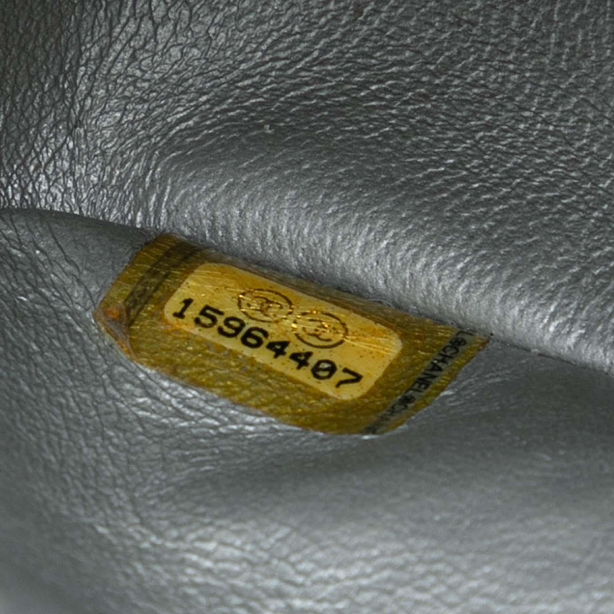 Chanel Medium Classic Iridescent Lambskin Double Flap