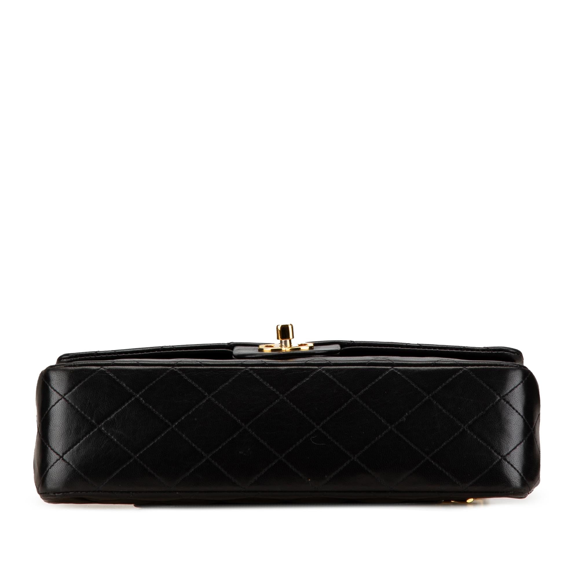 Chanel Medium Classic Lambskin Double Flap (SHG-EItNre)