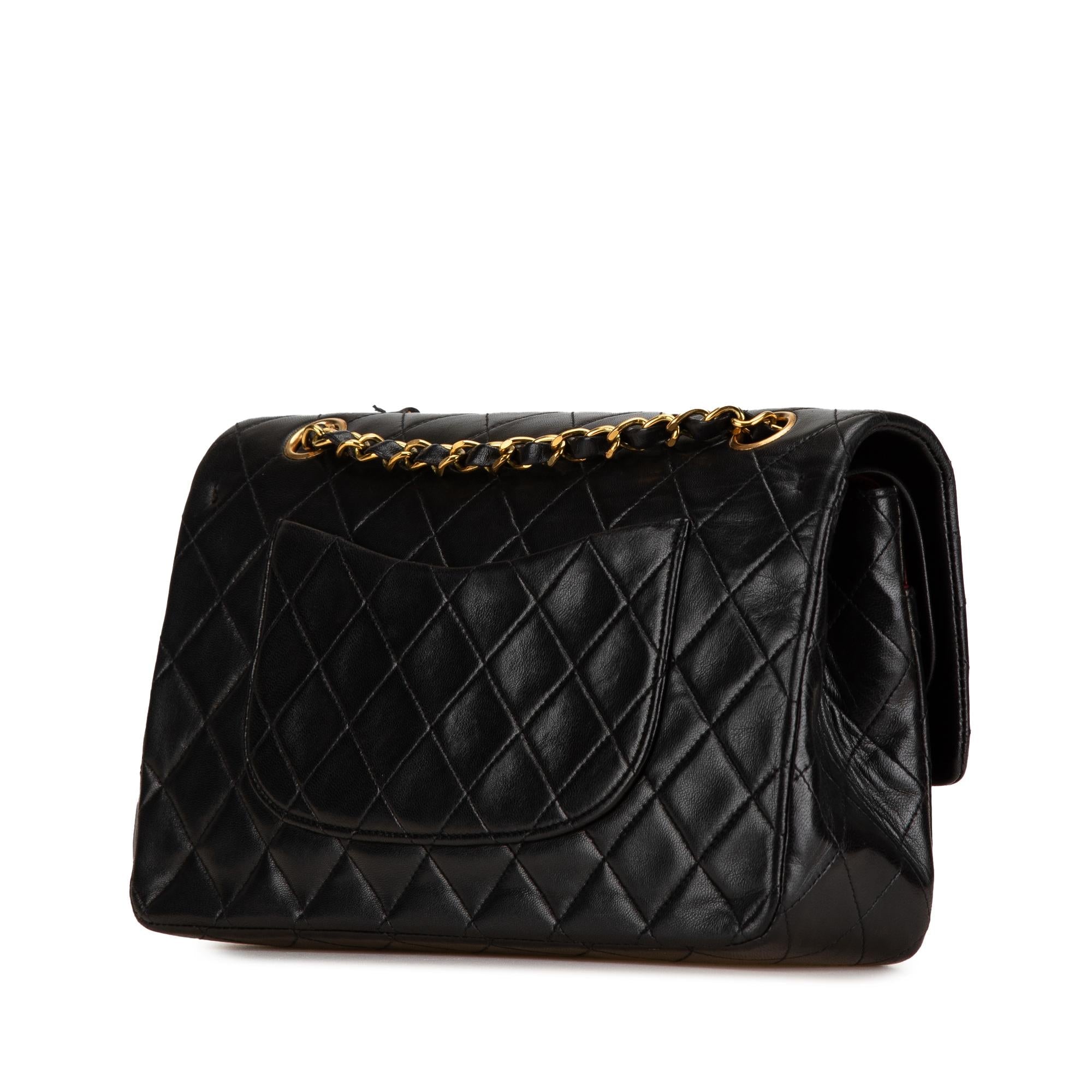 Chanel Medium Classic Lambskin Double Flap (SHG-EItNre)
