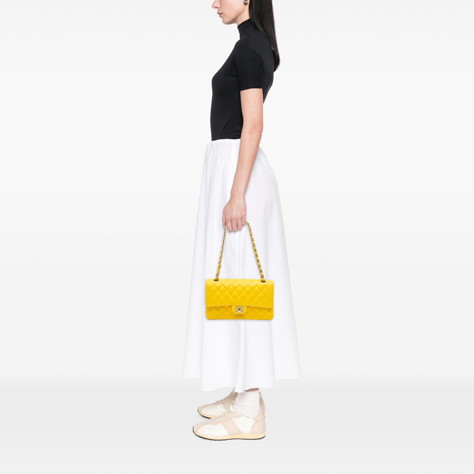 Chanel Medium Classic Lambskin Double Flap