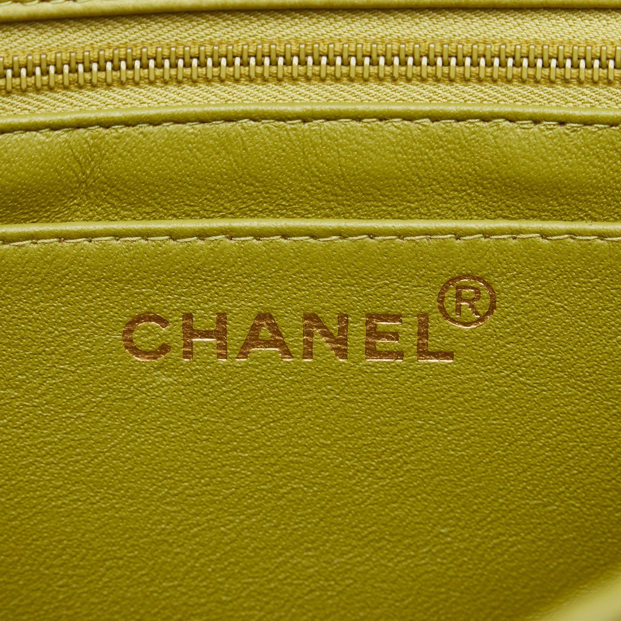 Chanel Medium Classic Lambskin Single Flap (SHG-aqydrY)