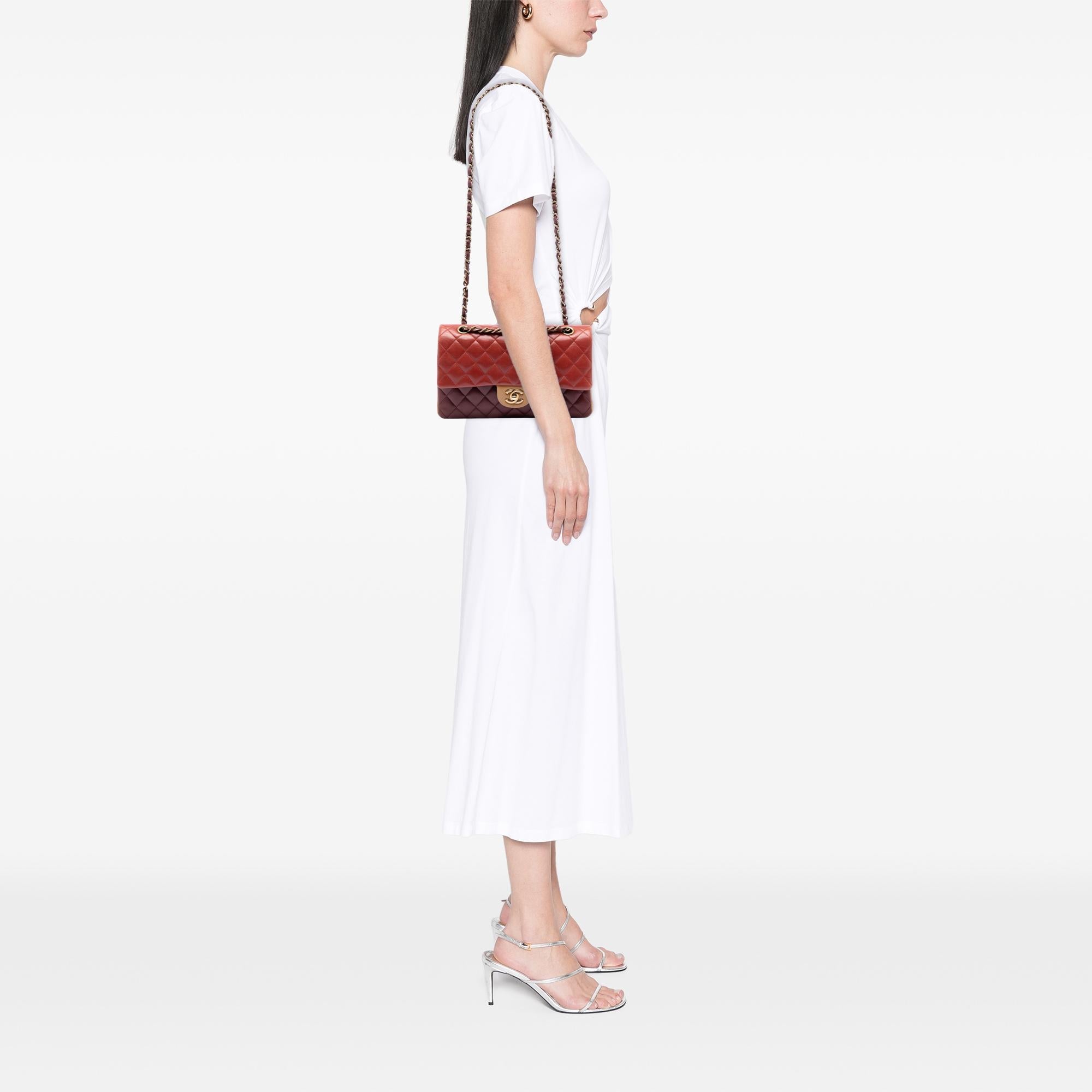 Chanel Medium Classic Tricolor Lambskin Double Flap
