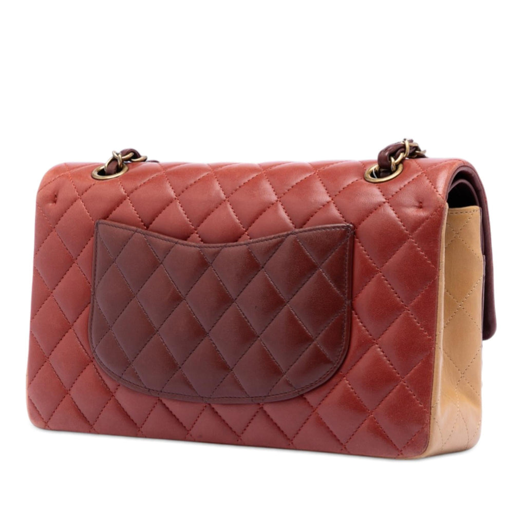 Chanel Medium Classic Tricolor Lambskin Double Flap