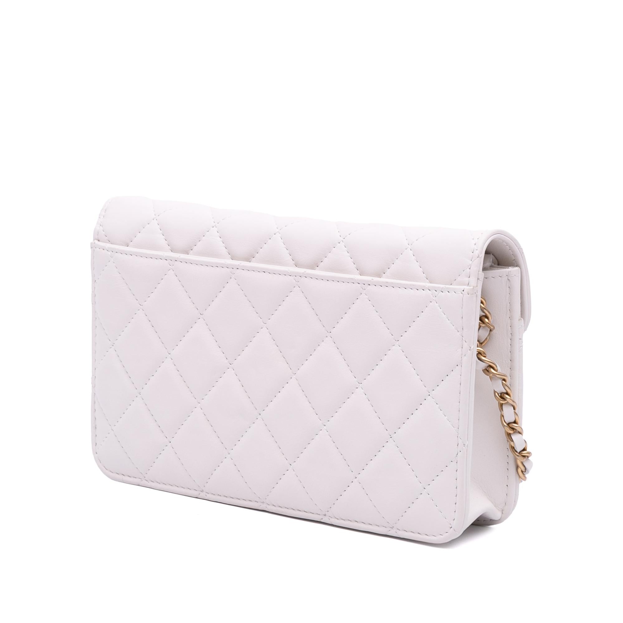Chanel Medium Quilted Calfskin Enchained Flap