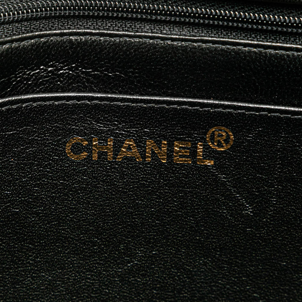 Chanel Medium Quilted Lambskin Border Single Flap (SHG-Tu2Hic)