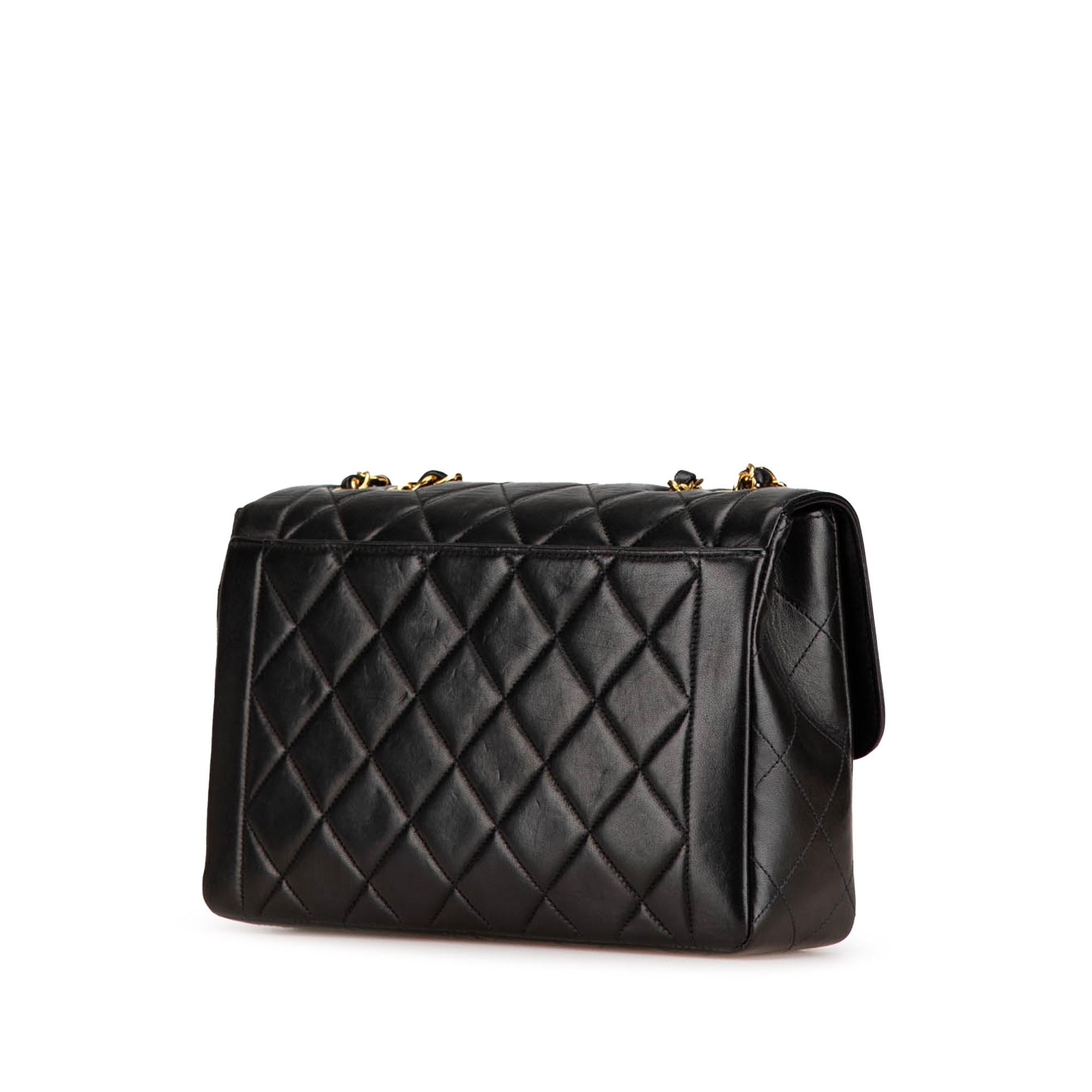 Chanel Medium Quilted Lambskin Border Single Flap (SHG-Tu2Hic)