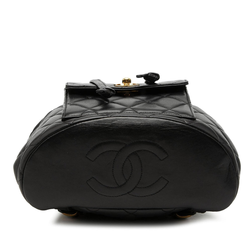 Chanel Medium Quilted Lambskin Duma Backpack