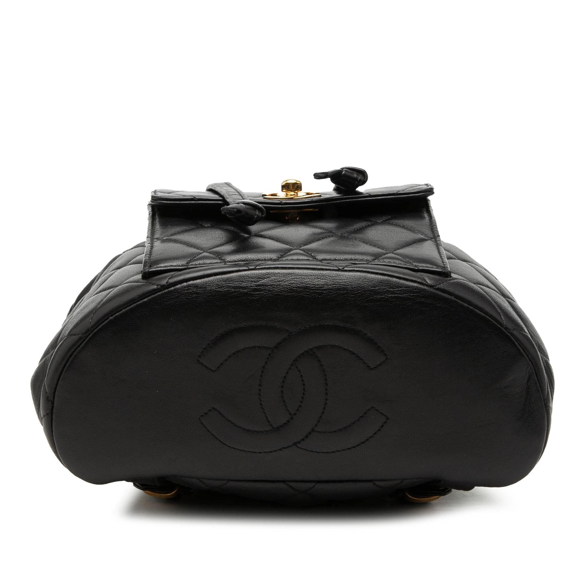 Chanel Medium Quilted Lambskin Duma Backpack