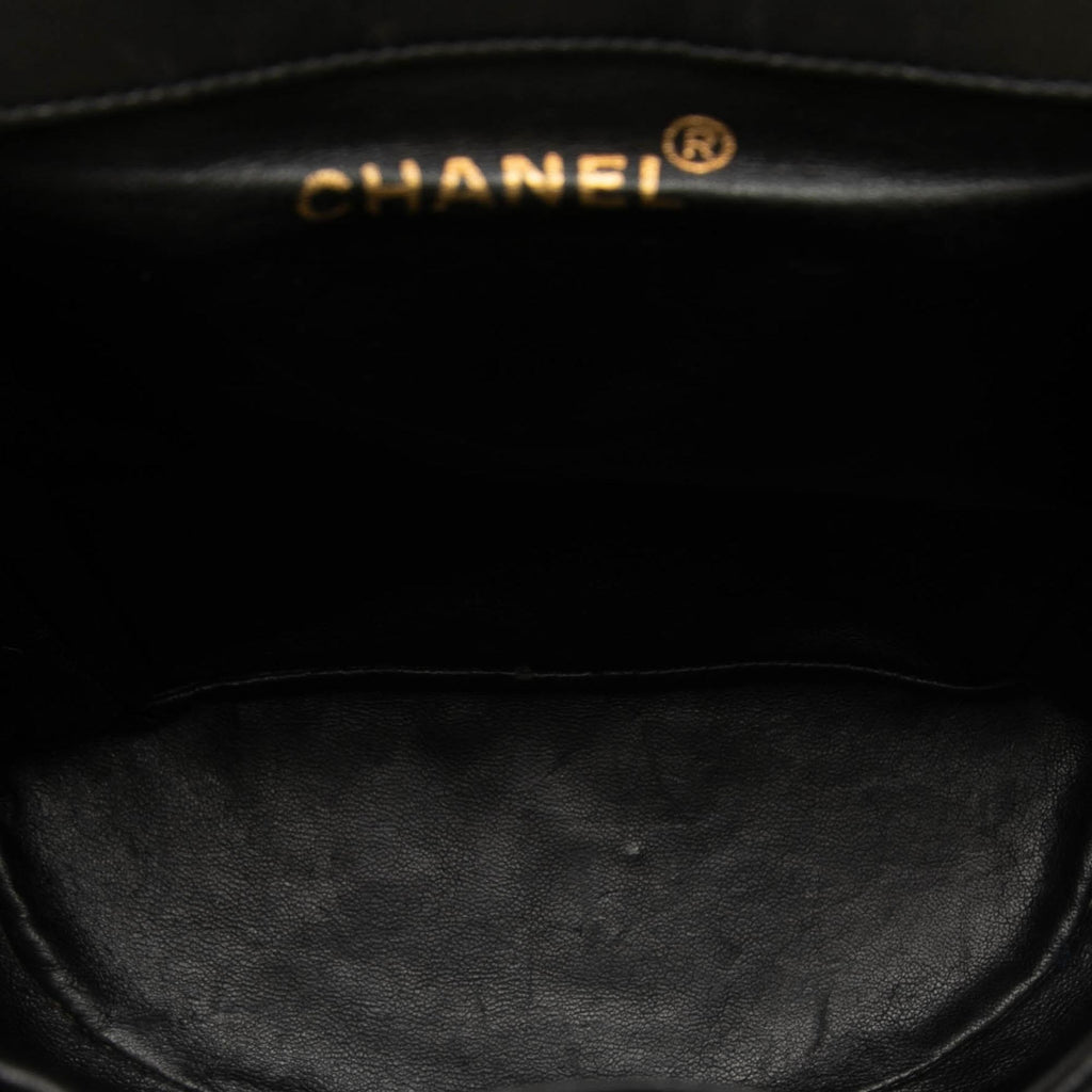 Chanel Medium Quilted Lambskin Duma Backpack