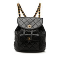 Chanel Medium Quilted Lambskin Duma Backpack