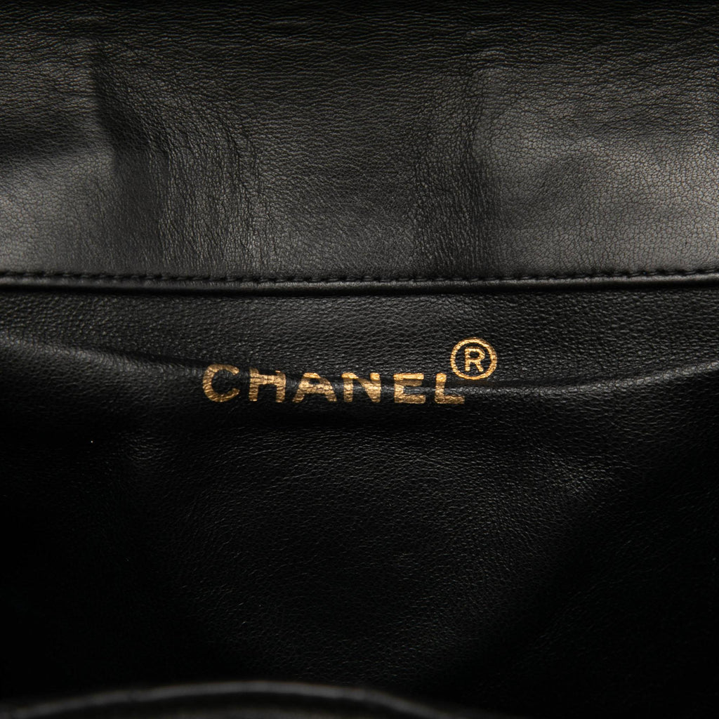 Chanel Medium Quilted Lambskin Duma Backpack