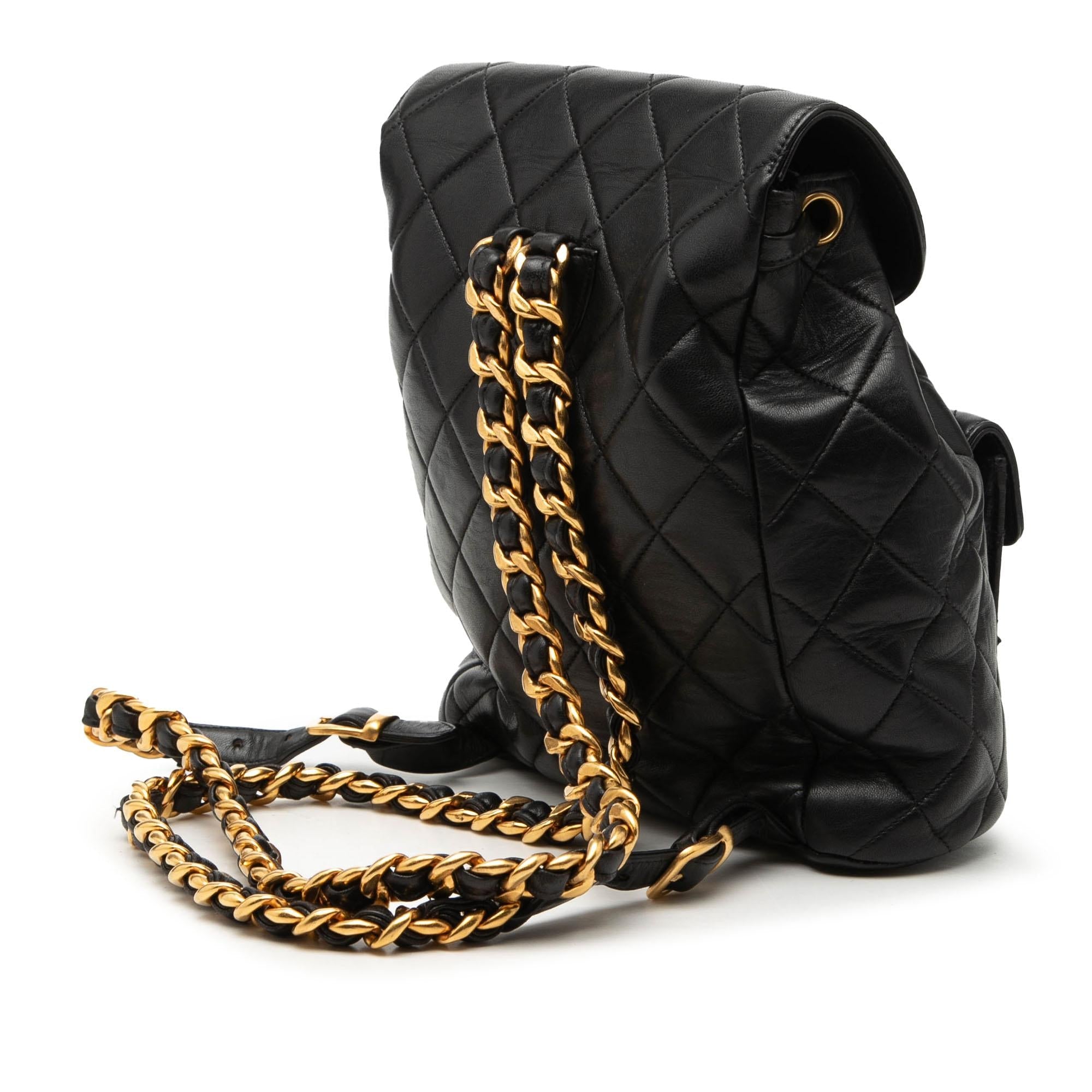 Chanel Medium Quilted Lambskin Duma Backpack