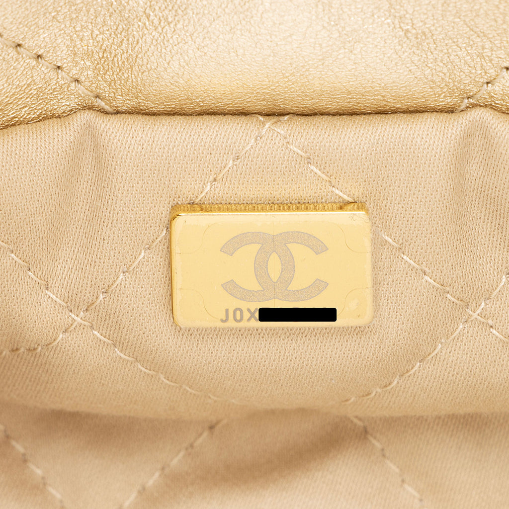 Chanel Metallic Calfskin Chanel 22 Small Shoulder Bag